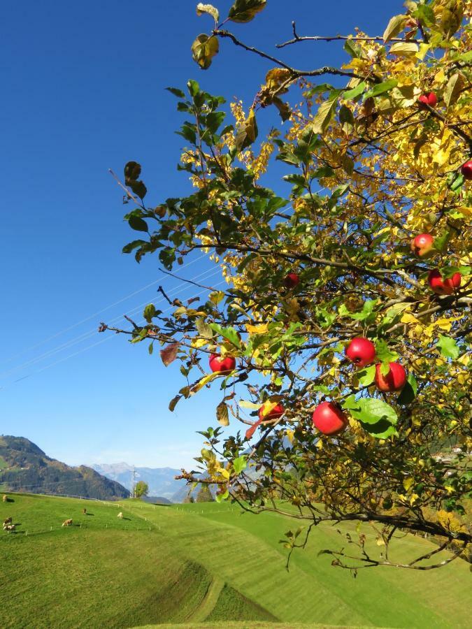 Ferienwohnung Point Hainzenberg Esterno foto